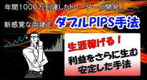 FX 新両建て手法 １トレードで利益80pipsも狙える サインツールを組みわせて両建てするFXのダブルPIPS手法 スキャルピングデイトレ 必勝法 