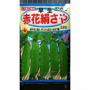 ３袋セット 早生 赤花 絹さや えんどう つるあり 種 郵便は送料無料 キヌサヤ