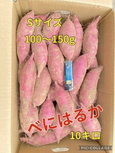 べにはるか　紅ハルカ　さつまいも　【Sサイズ】ねっとり系　サイズ指定可能です。　　10キロ　大分県産　