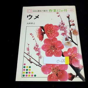 e-636 NHK趣味の園芸:作業12か月…11 ウメ 大坪孝之 日米放送出版協会 昭和52年第1刷発行 庭植えの管理 鉢植えの管理 繁殖 など※4