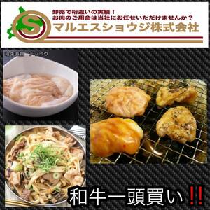 新鮮ホルモン売り上げNo.1！安心・安全・信頼の北海道産牛 大腸【直腸1.0kg】冷凍 焼肉 国産牛大腸（直腸） モツ鍋 牛モツ ホルモンうどん