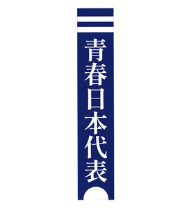 ■新品未開封/送料無料■新しい学校のリーダーズ 青春日本代表タオルII