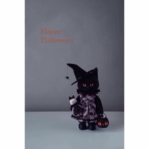 ちび黒ハロウィンちゃんと小さなガイコツ人形　　　　parico doll 猫ぬいぐるみ