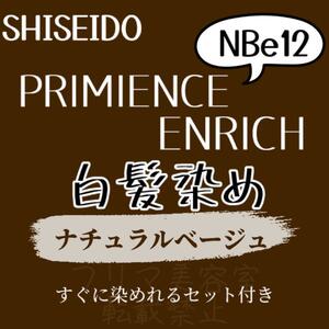 最安値　NBe12 資生堂　白髪染め　ショート　メンズ　ヘアカラー剤　セット付　ナチュラル　ブラウン　グレーカラー　ヘアカラー