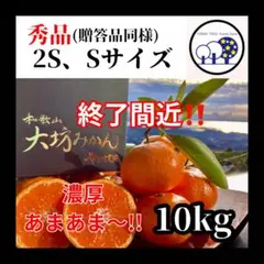 18、温州みかん 樹熟大坊みかん、秀品(贈答品同様)10kg