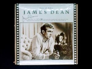 希少! 「ジェイムス・ディーン エデンの東」レターパズル 108pic　コレクション James Dean アメリカ 俳優 洋画 ジミー・ディーン