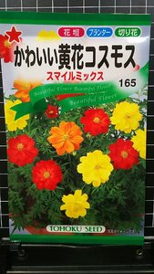 ３袋セット かわいい 黄花 コスモス スマイルミックス 秋桜 種 郵便は送料無料