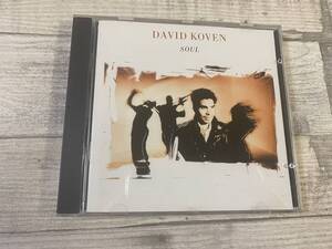 超希少！！超入手困難！！ソウル AOR CD DAVID KOVEN『SOUL』MARVIN/BESOIN DE MUSIQUE 他 全10曲 