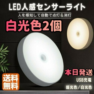 人感センサー 白光色 人感ライト 人感センターライト 電球色 LED ワイヤレス 自動点灯 小型 ナイトライト 常夜灯 ライト 照明 ライト