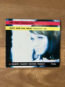 中古CD THE LOVE MASHROOMS /waij and see what happens ep. early90sインディーギターポップ仲真史　滝見憲司　ZEST