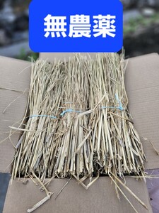 無農薬稲わら　稲藁　家庭菜園　マルチ　藁草履　メダカ産卵　カツオのたたき　ペットのマット　クリスマスリース　しめ縄　納豆作り