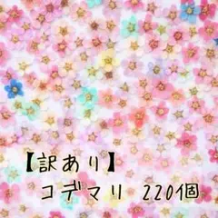 【訳あり】押し花素材 ： コデマリ 220個（175 ネイル パーツ レジン）