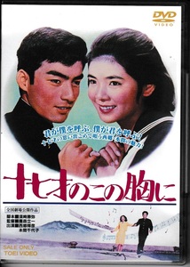 十七才のこの胸に　DVD　西郷輝彦・本間千代子