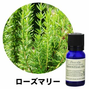 フレーバーライフ エッセンシャルオイル ローズマリー 10ml 精油 アロマ アロマオイル リラックス 自律神経 ストレス 整える 効果