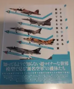 無名空軍！入手困難「小さな国にも空がある 模型で見る無名空軍の翼」