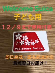 今年の１２月９日使用可能！１１月１２日に新規購入！JR東日本の子ども用 Welcome Suicaカード(無記名式スイカ)