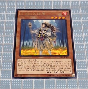 遊戯王 不知火の隠者 レア1枚 TDIL-JP031 未使用