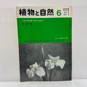 植物と自然 1972年6月号★ハナショウブ/カンアオイ類の覚書/南部フォッサマグナ西縁におけるカンアオイ属/ニュー・サイエンス社