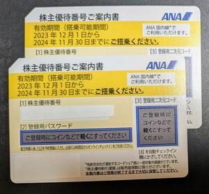 ANA 株主優待割引券 2枚　有効期限2024年11月30日　送料無料