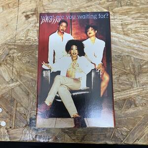 ノ HIPHOP,R&B PHAJJA - WHAT ARE YOU WAITING FOR? INST,シングル TAPE 中古品