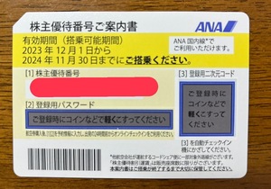 ANA 全日空 株主優待券　2枚セット　2024年11月30日まで