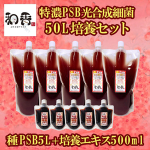 光合成細菌PSB50L培養セット バクテリア めだか らんちゅう 金魚 熱帯魚 グッピーに最適 ミジンコゾウリムシクロレラ培養