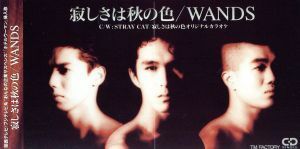 【８ｃｍ】寂しさは秋の色／ＷＡＮＤＳ