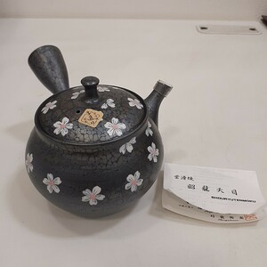 常滑焼 手造り 急須 昭龍天目 桜 煎茶道具 茶器 茶道具 工芸品 未使用