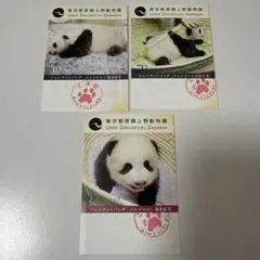 上野動物園 入場券(使用済み)シャンシャン誕生記念