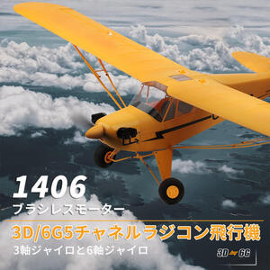 大型リモコン飛行機 練習機 2.4GHz ラジコンヘリコプター トイヘリ 頑丈 5CH 650mmボディ 室外リモコン飛行機　wj57