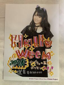 モーニング娘。道重さゆみ コメント入り2L生写真 Halloween 2011