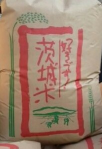 茨城産　茨城米　コシヒカリ　R5　こしひかり　業務用 白米 米 安い　10kg　10キロ　玄米　精米済み