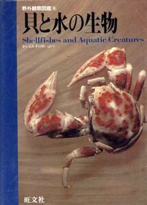 貝と水の生物 野外観察図鑑6/旺文社【編】