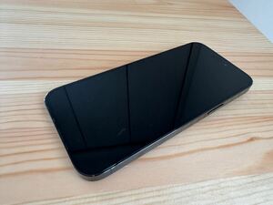 iPhone14 Pro Max A2896 (MQ8D3ZA/A) 512GB スペースブラック 香港版 SIMフリー 物理Dual SIMM 中古 液晶難あり