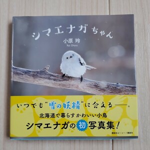 写真集 シマエナガちゃん 小原玲／著