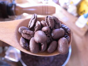 自家焙煎アチャオコーヒー　インドネシアの秘宝　ガヨマウンテン　200g(100gX2袋) 焙煎したて！　