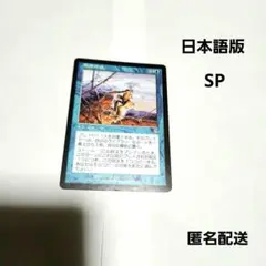 SP　思考停止　日本語版　スカージ　MTG　マジック・ザ・ギャザリング