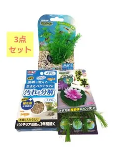 【新品未使用★3点セット】メダカ 飼育 ろ過 浮き草 水草 産卵床 かくれが