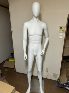 軽量ABS製 紳士全身リアルマネキン 男性用