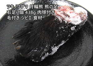 希少！ツキノワグマ 月輪熊 熊の足 右足 1個 438g 肉球付き 毛付き ジビエ 高級食材