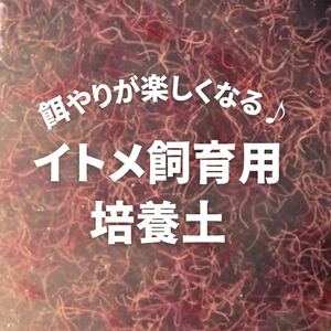 イトミミズ/イトメ飼育管理用のオリジナル培養土 メダカや熱帯魚などの生き餌でお馴染みのイトミミズを飼育繁殖させるための土になります。