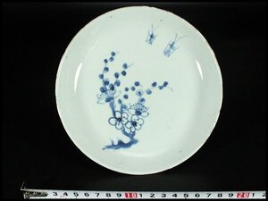 【金閣】中国美術 青花 梅花鳥紋 皿 明 φ17cm 旧家蔵出 送料無料(LC86)