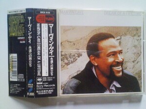 DREAM OF ALIFETIME / MARVIN GAYE 永遠への旅立ち