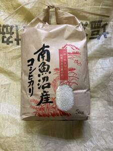 送料無料 R5 南魚沼産コシヒカリ 特別栽培米 白米5kg 減農薬 有機肥料 農家保有米 保冷米庫保管