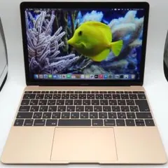 【美品】MacBook 2017 m3/8GB/256GB_GOLD