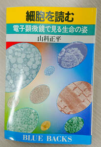 (送料込)細胞を読む(ブルーバックス) 新書 山科 正平 (著)