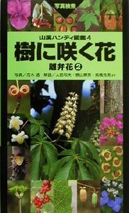 樹に咲く花 離弁花(2) 山渓ハンディ図鑑4/茂木透,高橋秀男,勝山輝男,石井英美,太田和夫,城川四郎,崎尾均,中川重年