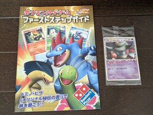 ポケモンカード★ヤドキング グレート★新品未開封★ドミノピザ プロモ 2枚入り★冊子付き★030/L-P ヤドン 028/L-P★2009年★送料無料