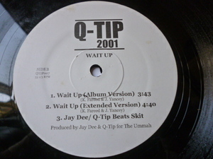 Q-Tip / Wait Up 試聴可 12 Jay Dee / J Dilla プロデュースSMOOTH & MELLO HIPHOP Makin