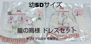 幼SDサイズ ディーラー製 ドール衣装 籠の鳥様 花柄 ワンピース ドレス ピンク 白 2着セット 双子 ドールドレス ドール服 OF outfit 娃衣